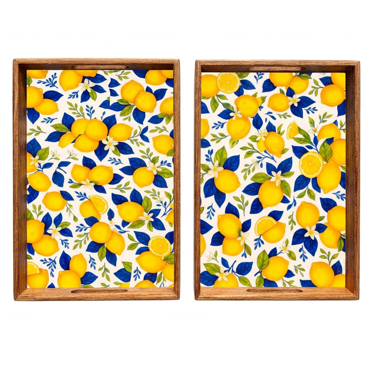 LOT DE 2 ASSIETTES CITRONS LOOFTYS