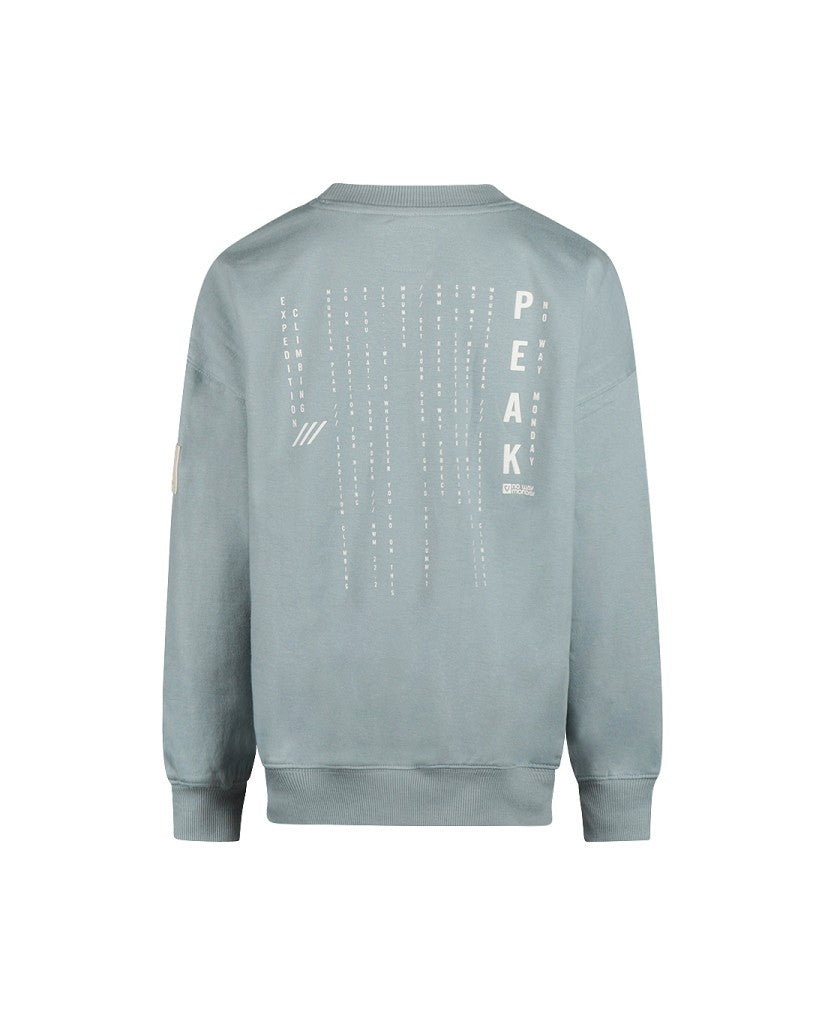 Sudadera Niño Azul Peak (imagen 2)